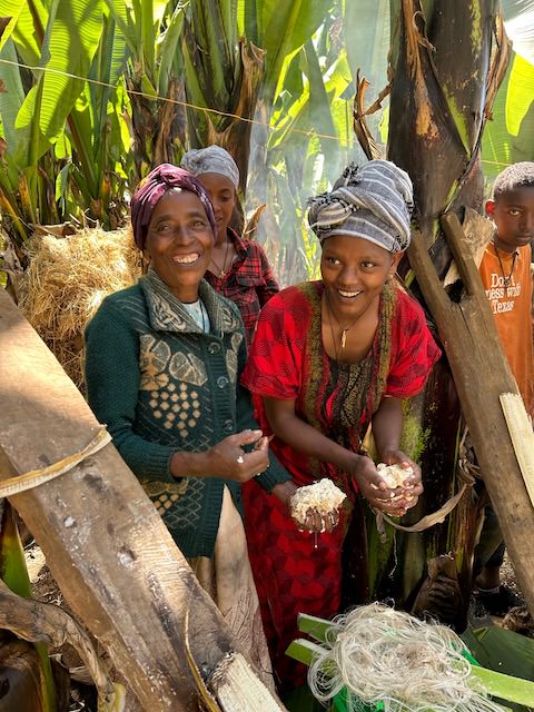 Featured image for “Alabaster International named a semifinalist out of 900 applicants for the Global Food System Challenge”